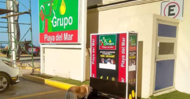 Red de comederos para perritos de calle crece en Coatzacoalcos