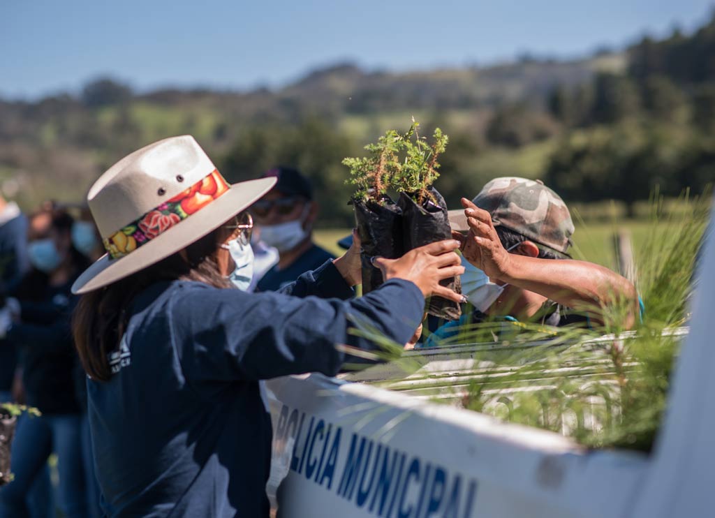 Reforestando Cuencas junto con Indheca y la Sedema participan de forma activa en la reforestación de la Cuenca de Miahuatlán.