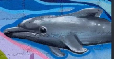 Recuerdan a la delfín "Yuli" con mural
