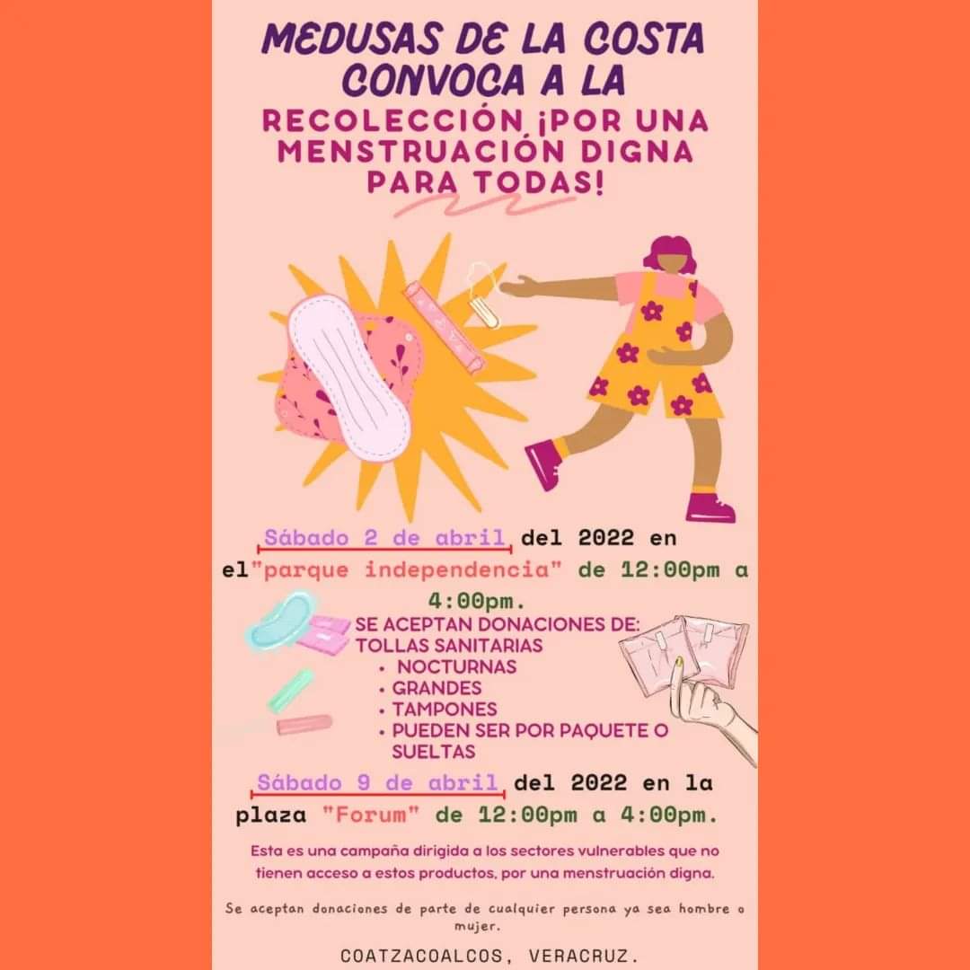 toallas femeninas