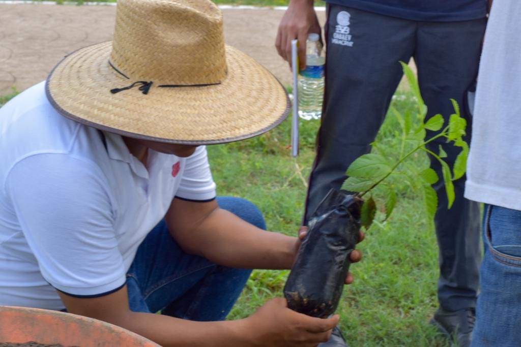 Presentación del programa "Reforestando tu entorno"