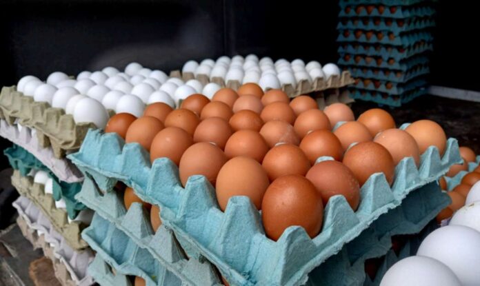 Precio del huevo en Veracruz ronda los 100 pesos