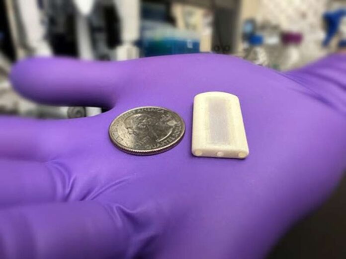 Desarrollan micro dispositivo que podría acercarse a la “cura” de la Diabetes tipo 1