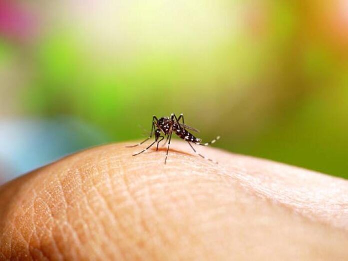 Casos de dengue en Veracruz aumentan 30%