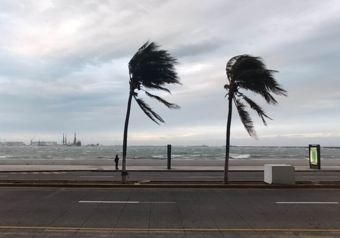Frente frío en Veracruz llegará con vientos de 80 km/h