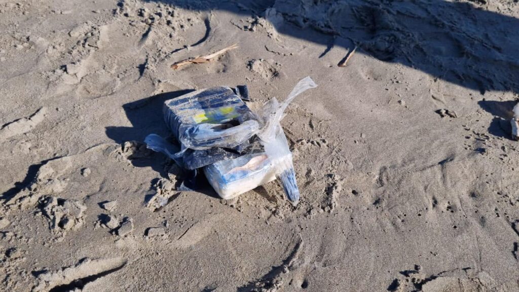 Policía Estatal se lleva paquetes de droga localizados en la playa