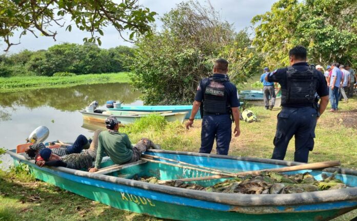 Caen pescadores de Minatitlán con más de 50 iguanas