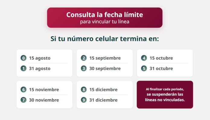 ¿Qué pasa si no registré mi línea telefónica? Inician este 15 de agosto suspensiones en México